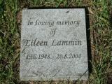 image number Lammin Eileen   080